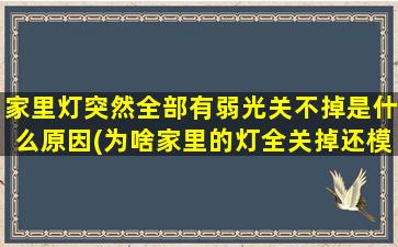 家里灯突然全部有弱光关不掉是什么原因(为啥家里的灯全关掉还模糊的亮着)
