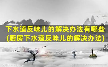 下水道反味儿的解决办法有哪些(厨房下水道反味儿的解决办法)