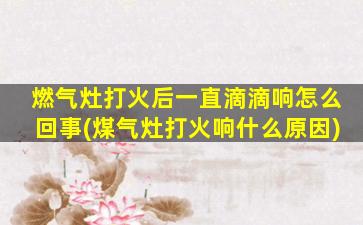 燃气灶打火后一直滴滴响怎么回事(煤气灶打火响什么原因)