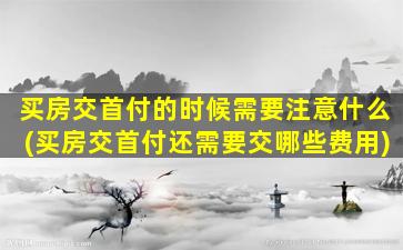 买房交首付的时候需要注意什么(买房交首付还需要交哪些费用)