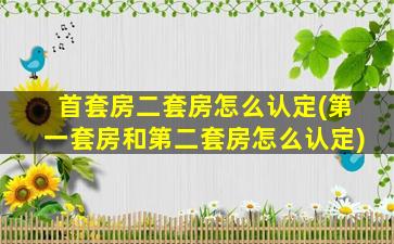 首套房二套房怎么认定(第一套房和第二套房怎么认定)