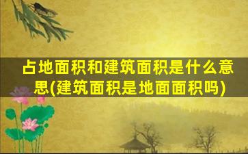 占地面积和建筑面积是什么意思(建筑面积是地面面积吗)