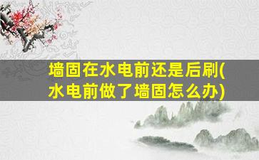 墙固在水电前还是后刷(水电前做了墙固怎么办)