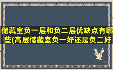 储藏室负一层和负二层优缺点有哪些(高层储藏室负一好还是负二好)