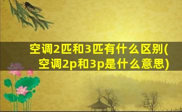 空调2匹和3匹有什么区别(空调2p和3p是什么意思)