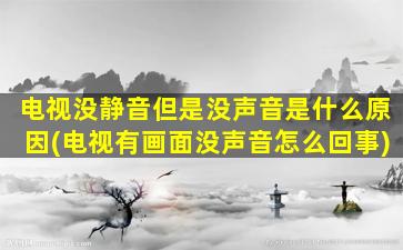 电视没静音但是没声音是什么原因(电视有画面没声音怎么回事)