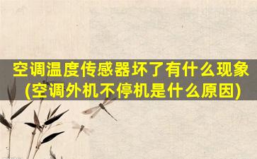 空调温度传感器坏了有什么现象(空调外机不停机是什么原因)