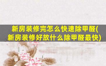 新房装修完怎么快速除甲醛(新房装修好放什么除甲醛最快)