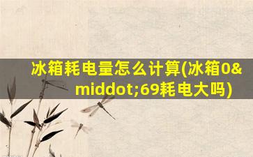冰箱耗电量怎么计算(冰箱0·69耗电大吗)