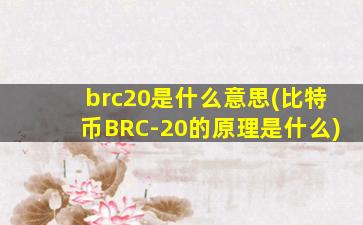 brc20是什么意思(比特币BRC-20的原理是什么)
