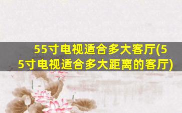 55寸电视适合多大客厅(55寸电视适合多大距离的客厅)