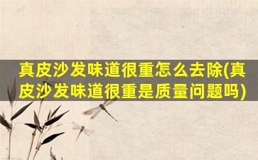 真皮沙发味道很重怎么去除(真皮沙发味道很重是质量问题吗)