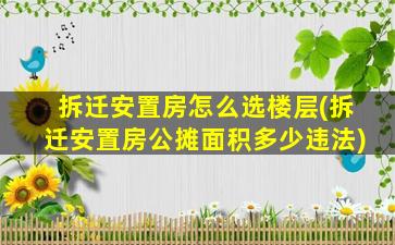 拆迁安置房怎么选楼层(拆迁安置房公摊面积多少违法)