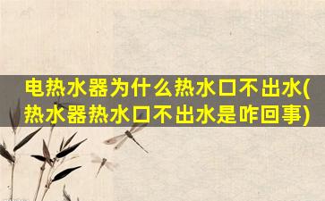 电热水器为什么热水口不出水(热水器热水口不出水是咋回事)