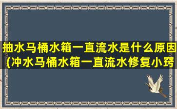 抽水马桶水箱一直流水是什么原因(冲水马桶水箱一直流水修复小窍门)