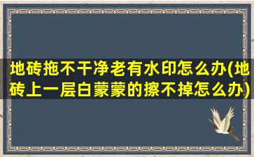 地砖拖不干净老有水印怎么办(地砖上一层白蒙蒙的擦不掉怎么办)