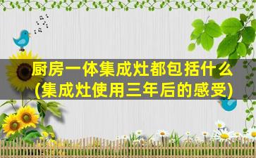 厨房一体集成灶都包括什么(集成灶使用三年后的感受)