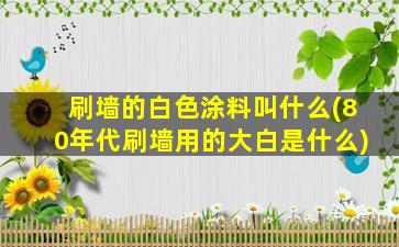 刷墙的白色涂料叫什么(80年代刷墙用的大白是什么)