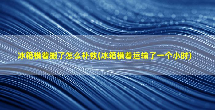 冰箱横着搬了怎么补救(冰箱横着运输了一个小时)