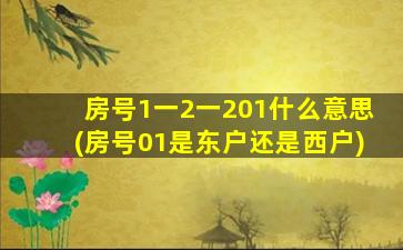 房号1一2一201什么意思(房号01是东户还是西户)