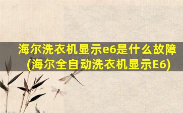 海尔洗衣机显示e6是什么故障(海尔全自动洗衣机显示E6)