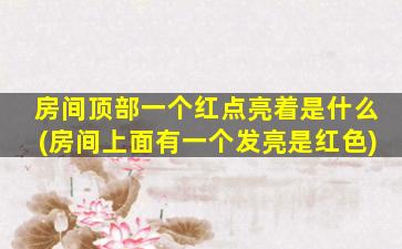 房间顶部一个红点亮着是什么(房间上面有一个发亮是红色)