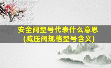 安全阀型号代表什么意思(减压阀规格型号含义)