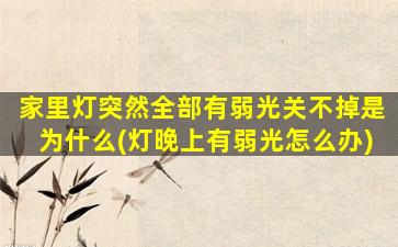 家里灯突然全部有弱光关不掉是为什么(灯晚上有弱光怎么办)