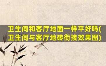 卫生间和客厅地面一样平好吗(卫生间与客厅地砖衔接效果图)