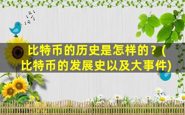 比特币的历史是怎样的？(比特币的发展史以及大事件)
