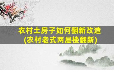 农村土房子如何翻新改造(农村老式两层楼翻新)