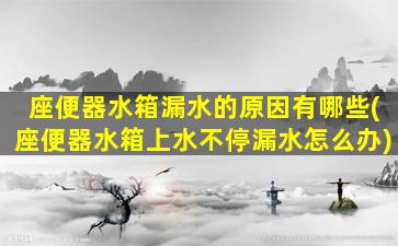 座便器水箱漏水的原因有哪些(座便器水箱上水不停漏水怎么办)