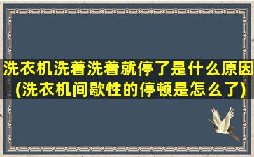 洗衣机洗着洗着就停了是什么原因(洗衣机间歇性的停顿是怎么了)