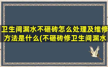 卫生间漏水不砸砖怎么处理及维修方法是什么(不砸砖修卫生间漏水)