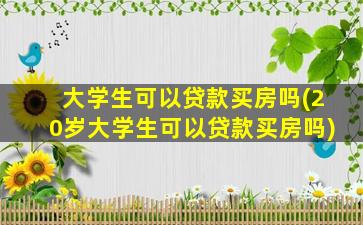 大学生可以贷款买房吗(20岁大学生可以贷款买房吗)