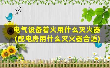 电气设备着火用什么灭火器(配电房用什么灭火器合适)