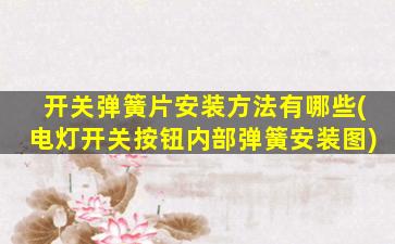 开关弹簧片安装方法有哪些(电灯开关按钮内部弹簧安装图)