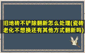 旧地砖不铲除翻新怎么处理(瓷砖老化不想换还有其他方式翻新吗)
