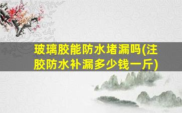 玻璃胶能防水堵漏吗(注胶防水补漏多少钱一斤)