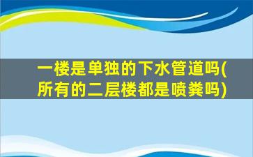 一楼是单独的下水管道吗(所有的二层楼都是喷粪吗)