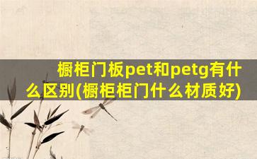 橱柜门板pet和petg有什么区别(橱柜柜门什么材质好)