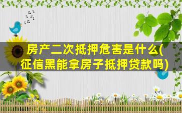 房产二次抵押危害是什么(征信黑能拿房子抵押贷款吗)