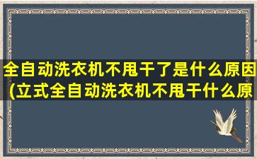 全自动洗衣机不甩干了是什么原因(立式全自动洗衣机不甩干什么原因)