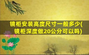 镜柜安装高度尺寸一般多少(镜柜深度做20公分可以吗)