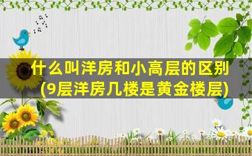 什么叫洋房和小高层的区别(9层洋房几楼是黄金楼层)