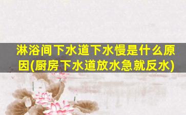 淋浴间下水道下水慢是什么原因(厨房下水道放水急就反水)