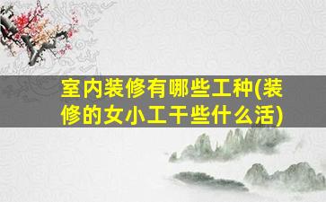 室内装修有哪些工种(装修的女小工干些什么活)