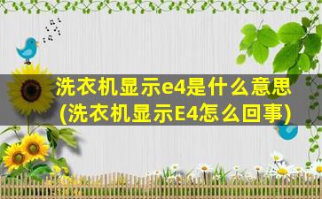 洗衣机显示e4是什么意思(洗衣机显示E4怎么回事)