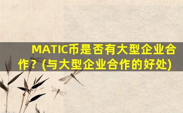 MATIC币是否有大型企业合作？(与大型企业合作的好处)