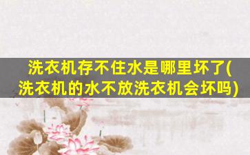 洗衣机存不住水是哪里坏了(洗衣机的水不放洗衣机会坏吗)